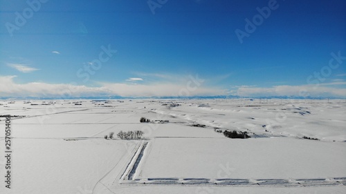 Montana Field in the Snow © Jonathan