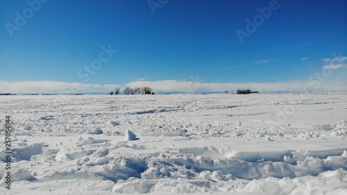 Montana Field in the Snow