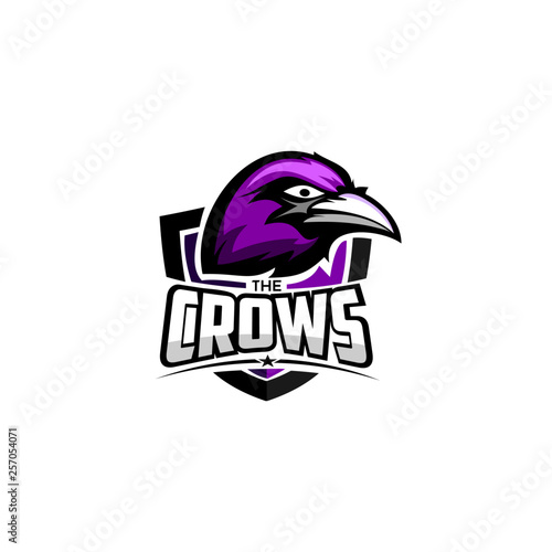 raven head logo sport