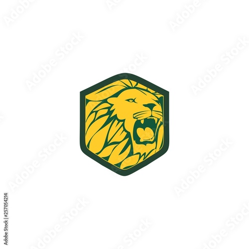 Fototapeta Naklejka Na Ścianę i Meble -  lion head team logo