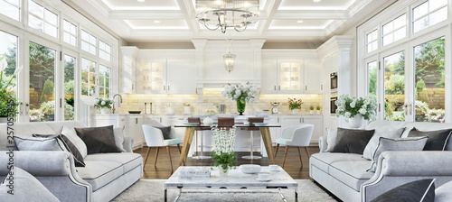 Luxurious white kitchen and living room in a luxury house