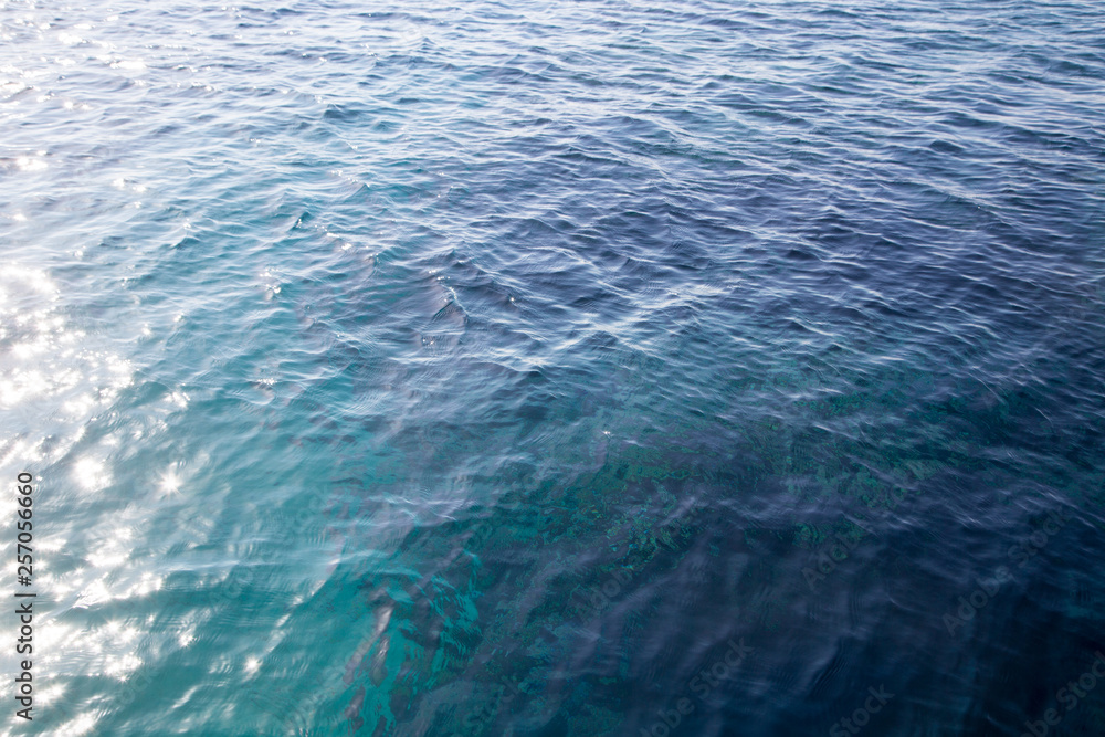 Obraz premium Coral reef is visible through the clear blue water. Beautiful blue sea wave photograph close up. Beach vacation at sea or ocean. Background to insert images and text. Tourism, travel.