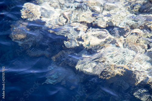 Coral reef is visible through the clear blue water. Beautiful blue sea wave photograph close up. Beach vacation at sea or ocean. Background to insert images and text. Tourism, travel.
