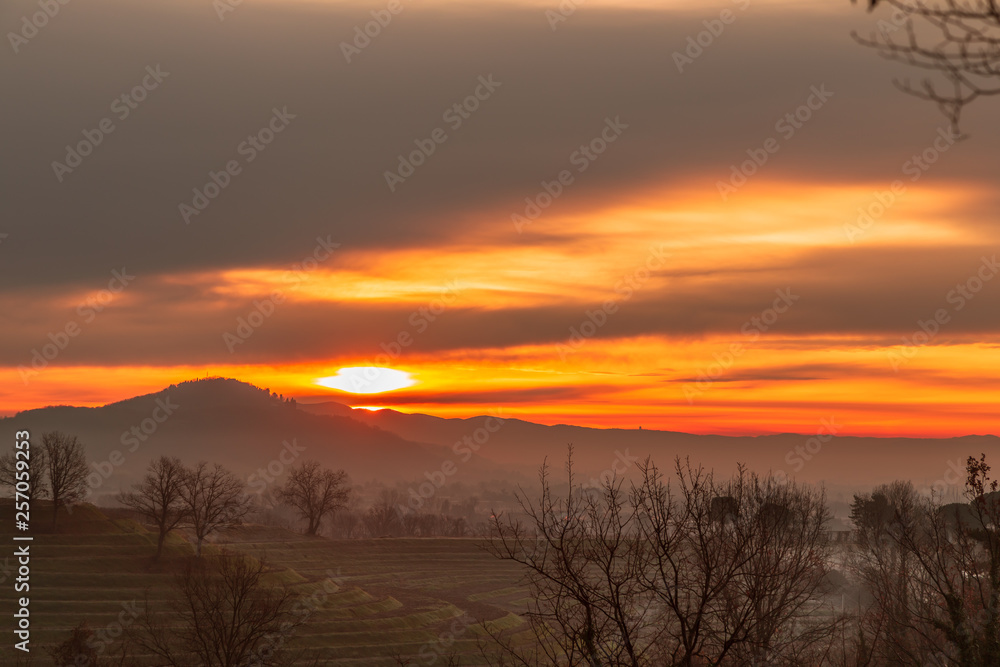 Cold misty morning in the vineyards of Italy Cold misty morning in the vineyards of Italy