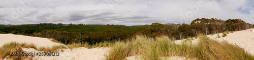 Panorama - Henty Sanddünen photo