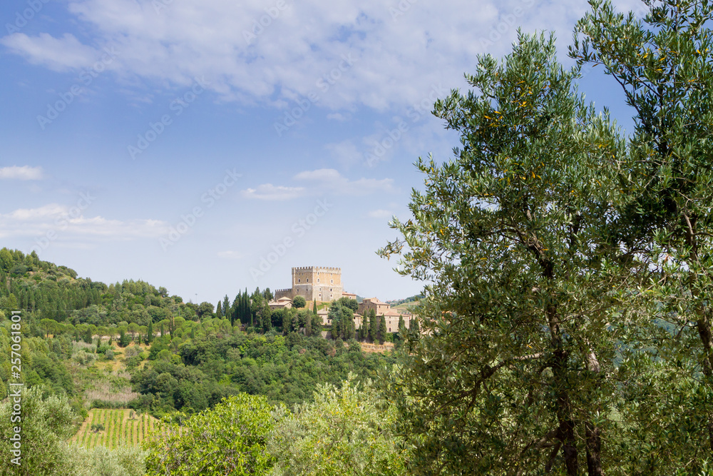 Ripa d'Orcia castle view, Tuscany landmark, Italy