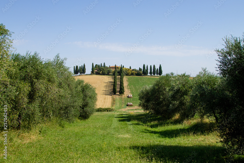 Tuscany hills summer landscape, Italy