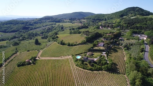 Vigneti