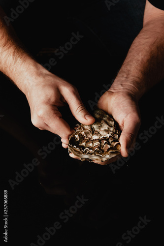 hands open the oyster with a knife