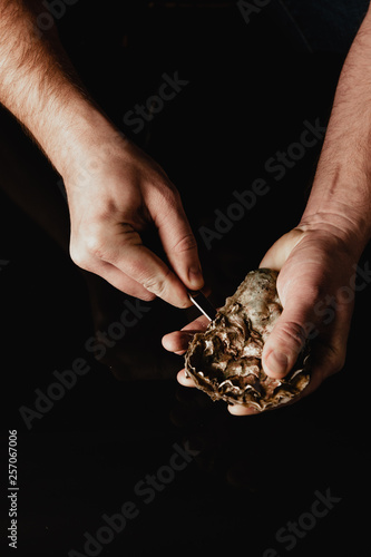 hands open the oyster with a knife