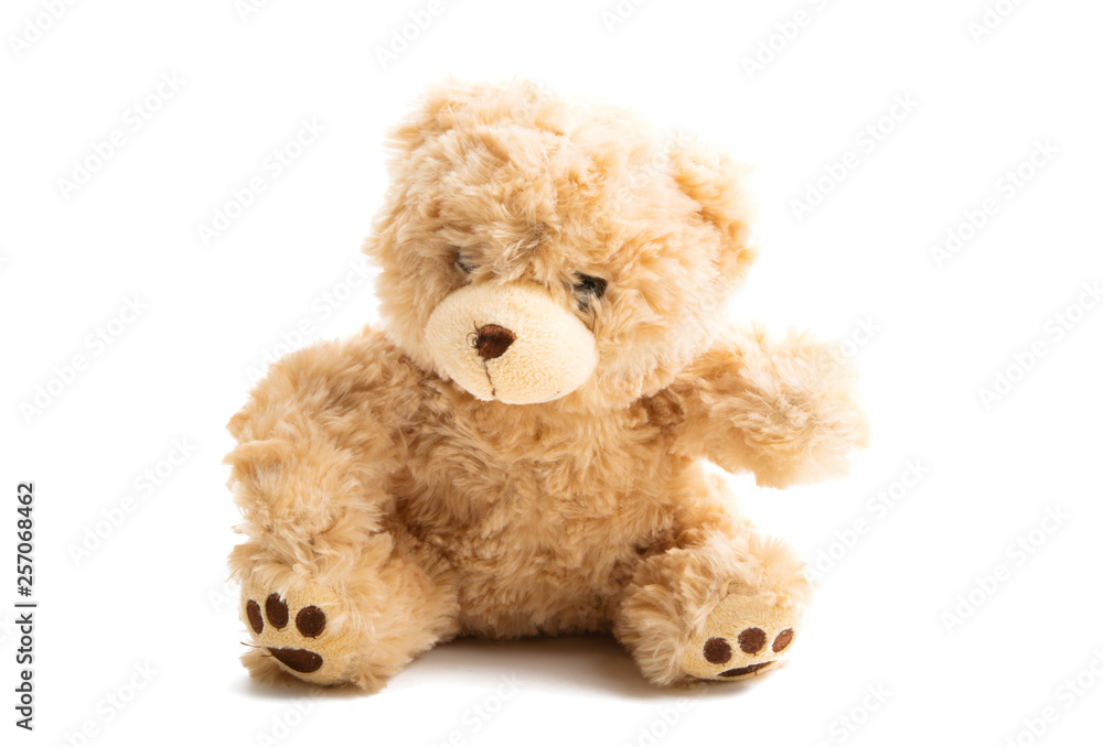 teddy bear soft isolated