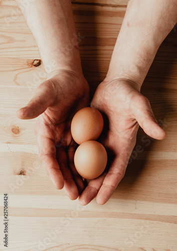 hands hold chicken eggs