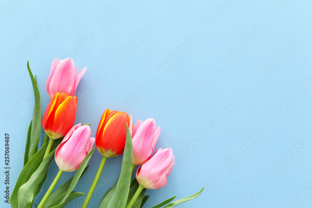 bouquet of orange and pink tulips over pastel blue wooden background. Top view