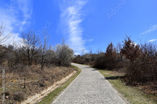 road to the sky