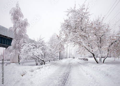 Park in Yuzhnoye Butovo District (Southern Butovo). Moscow. Russia photo