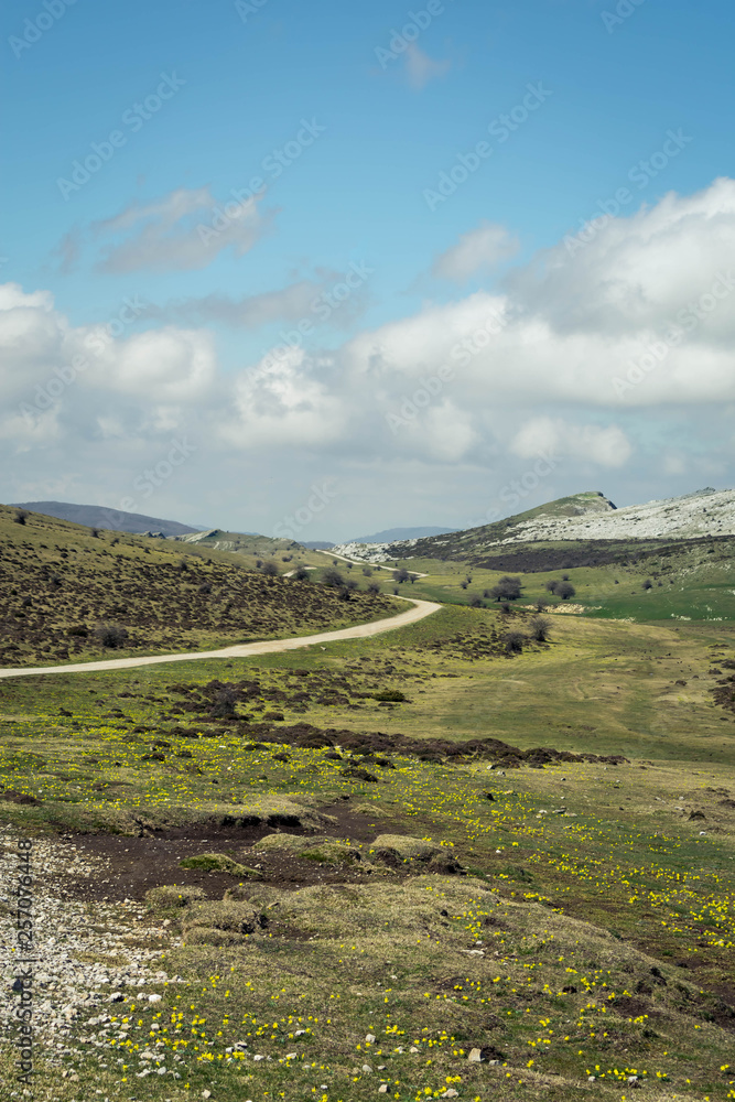 A rural road in the mountains during a spring day A rural road in the mountains during a spring day