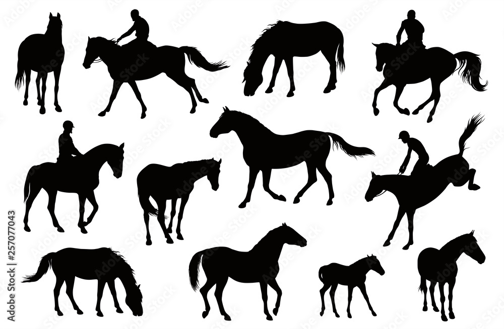 Fototapeta premium Horse silhouettes graphic vector illustration set