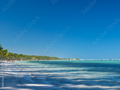 Tropical seashore with palm trees