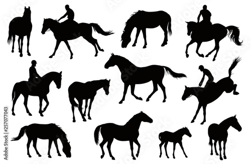Horse silhouettes graphic vector illustration set