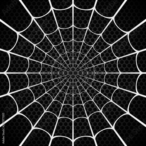 White spider web on black background