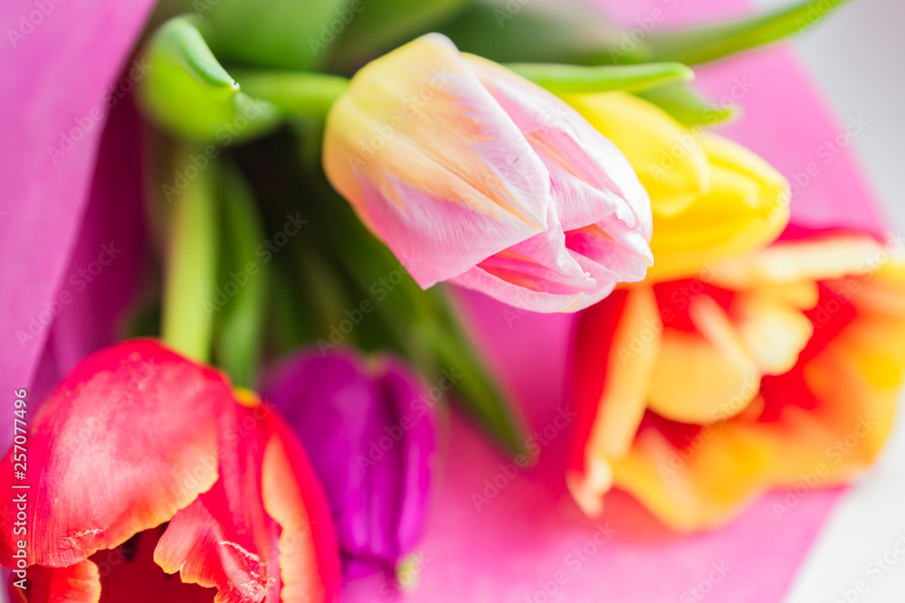 Beautiful spring bouquet of multicolored tulips. Close up, soft focus Beautiful spring bouquet of multicolored tulips. Close up, soft focus