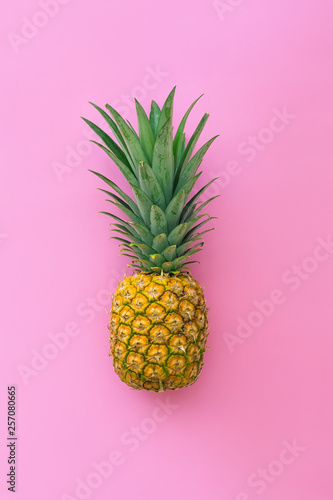 Pineapple tropical fruit on pink pastel background