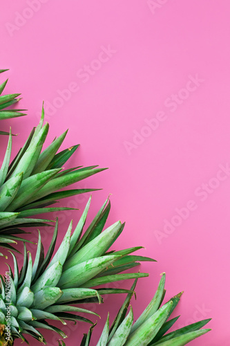 Pineapple head frame on pink pastel background