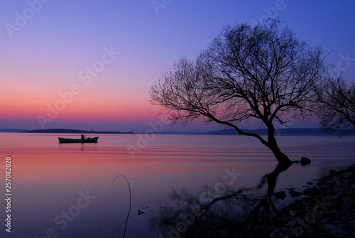 Tree and Fisherman in a wooden boat © Emre