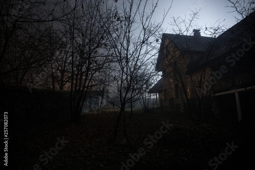 Old house with a Ghost in the forest at night or Abandoned Haunted Horror House in fog. Old mystic building in dead tree forest. Trees at night with moon. © zef art