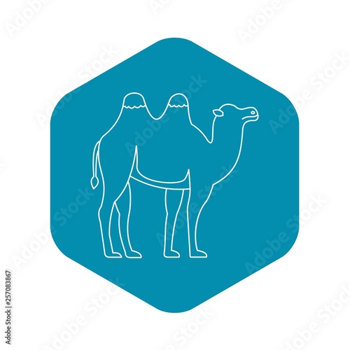 Bactrian camel icon. Outline illustration of bactrian camel vector icon for web
