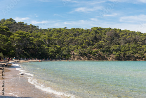 Paradisiacal beach of Notre Dame, island of Porquerolles, in the south of France.