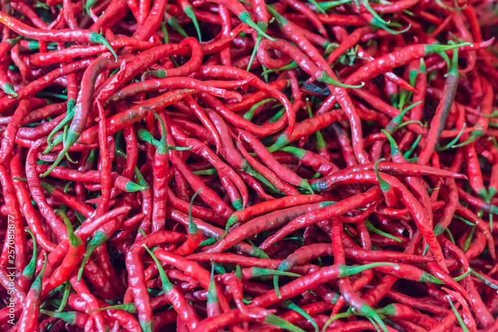 Fototapeta premium Chilli Schoten, scharf