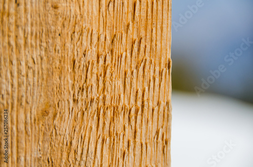 Wallpaper Mural wood grain Torontodigital.ca