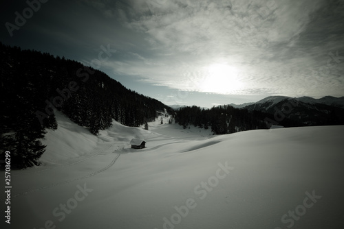 Wallpaper Mural dreamlike snow landscape tyrol Torontodigital.ca