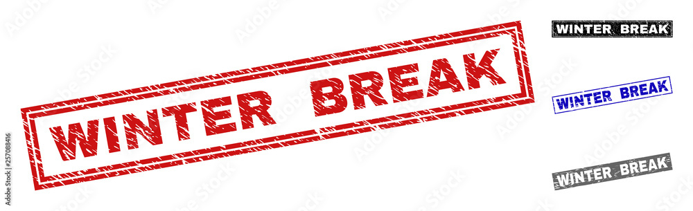Grunge WINTER BREAK rectangle stamp seals isolated on a white background. Rectangular seals with grunge texture in red, blue, black and grey colors. Grunge WINTER BREAK rectangle stamp seals isolated on a white background. Rectangular seals with grunge texture in red, blue, black and grey colors.