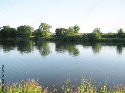 little lake in the forest