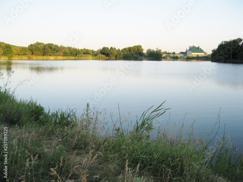little lake in the forest