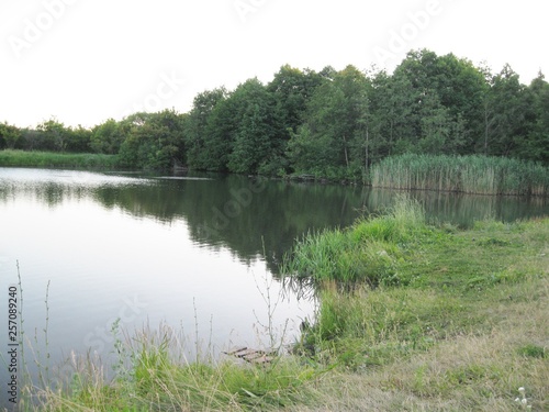 village in the forest