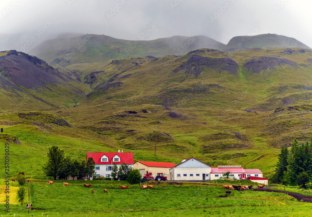Typical farm in south of highlands of Iceland.