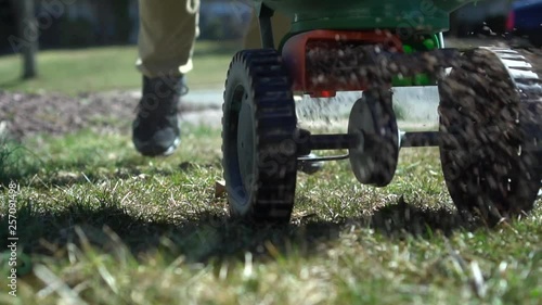 Spreading lawns seeds using a turf spreader