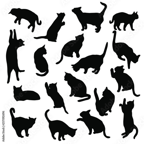 Set vector silhouettes of the cat, different poses, standing, jumping and sitting,  black color, isolated on white background