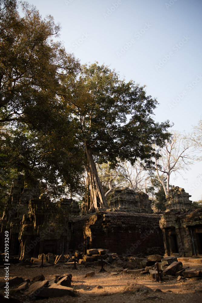 Fototapeta premium angkor