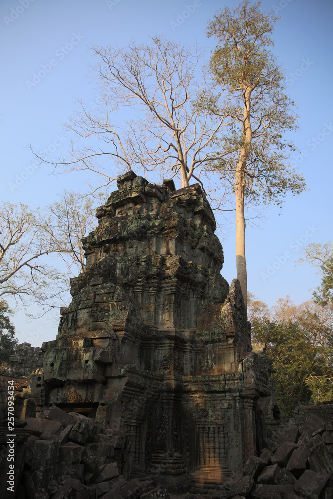 angkor