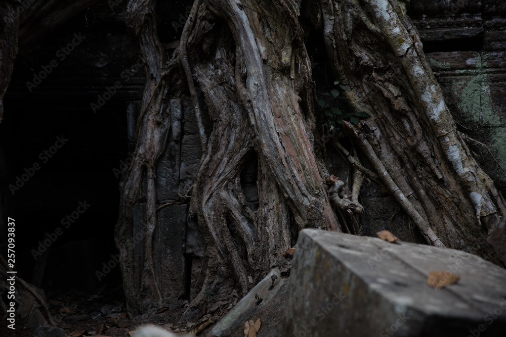 Obraz premium angkor