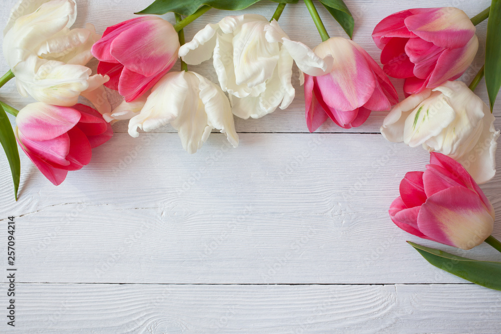 Light and pink tulips on white wooden background