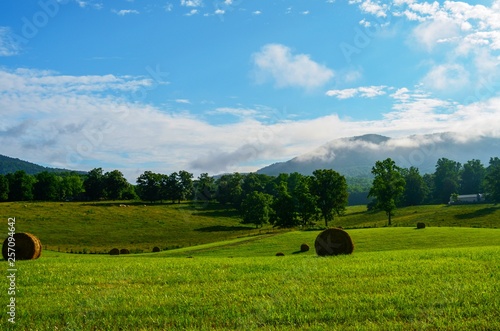 Green grass field with grass bundles, blue sky, rolling hills