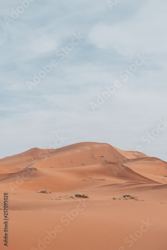 The endless dunes of the Sahara in Morocco.