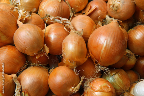 onions at the market