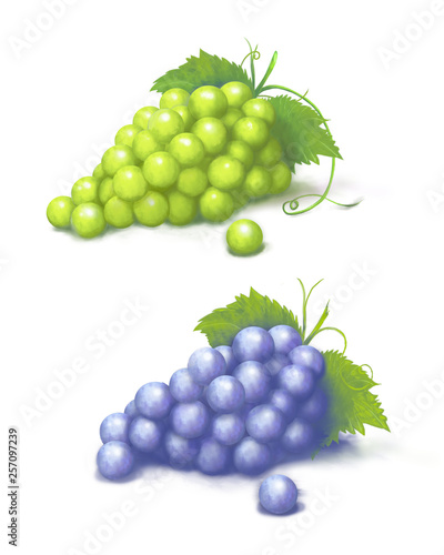 winogrona zielone, białe, fioletowe