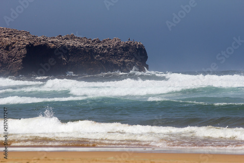 beach, sea, ocean, waves, water